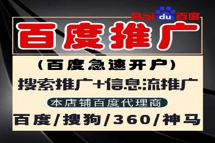 百度品牌广告的创意与执行案例